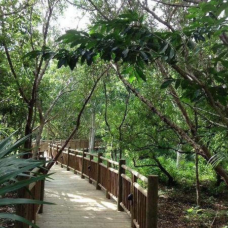 Mayan Palace Vidanta Resort Riviera Maya プエルト・モレロス エクステリア 写真
