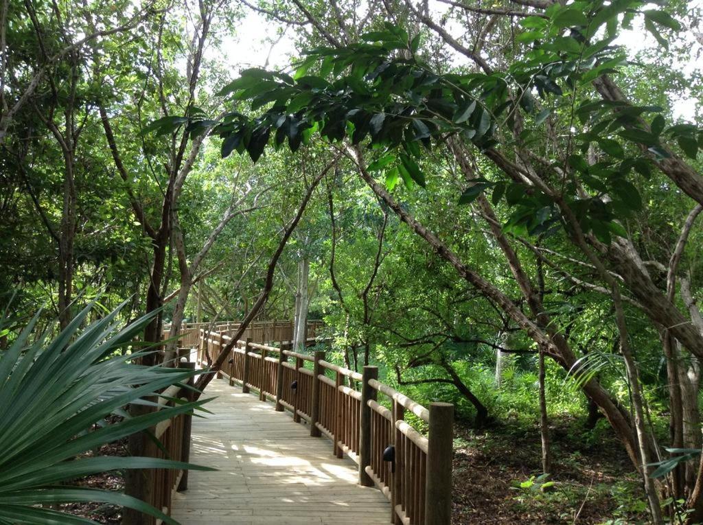 Mayan Palace Vidanta Resort Riviera Maya プエルト・モレロス エクステリア 写真